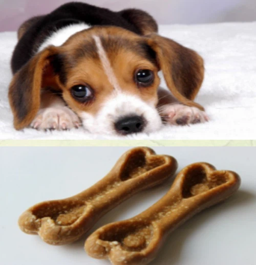 pet treat machine 7 pet treat machine 7