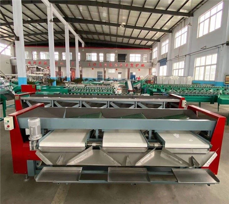 Bilberry Sorter Machine