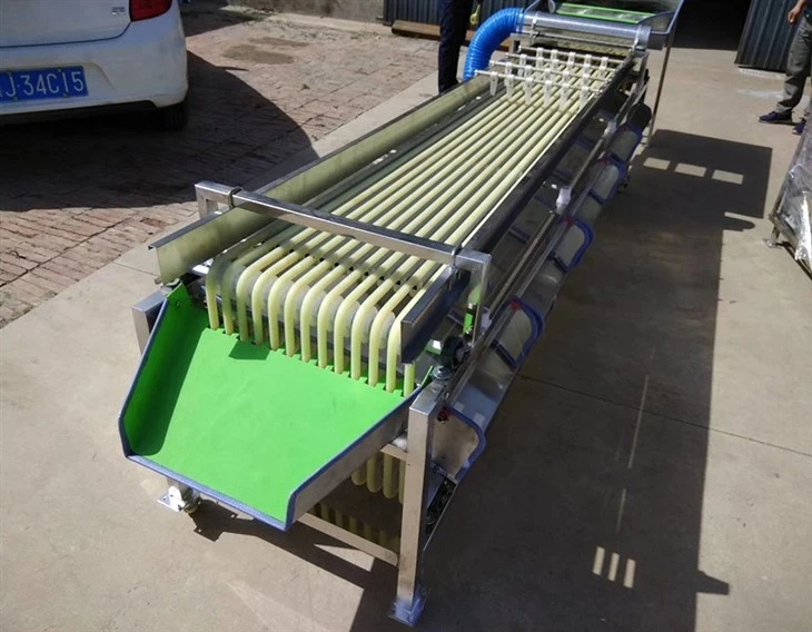 Date Olive Cherry Grading Sorting Machine