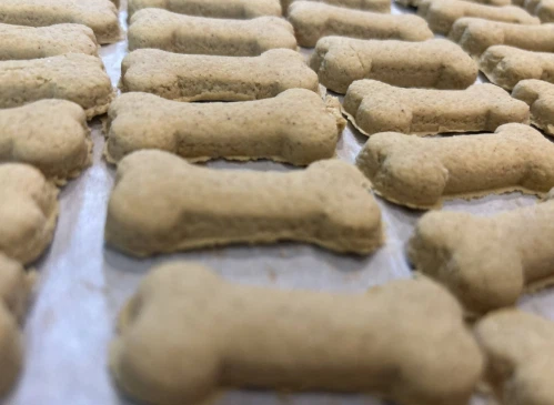 Dog-treat-hard-biscuit-making-machine