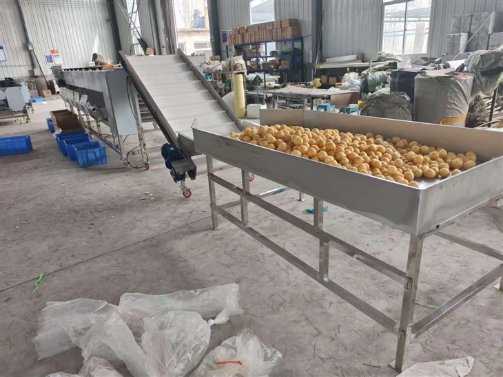 Automatic Roller Fruit Sorting Machine high quality