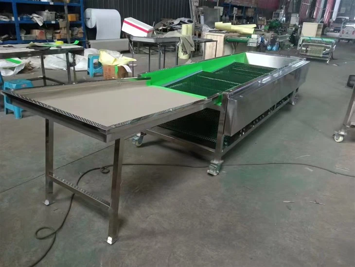 Blueberry Sorting Grading Machine