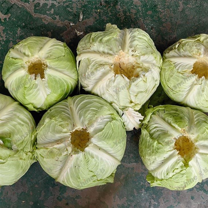 Cabbage Root Cutting Machine suppliers