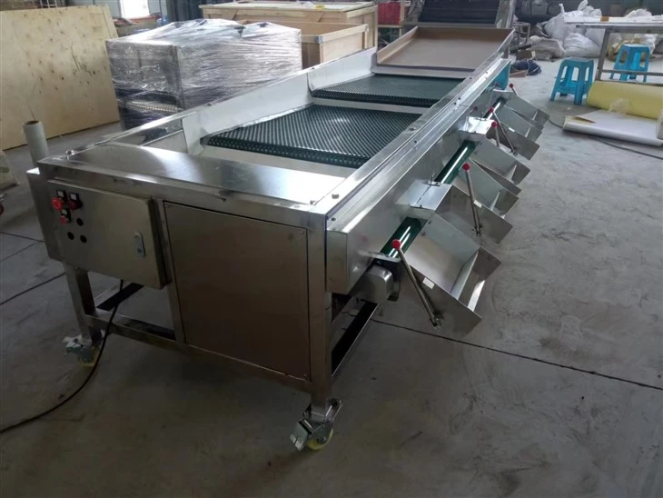 Full-automatic Blueberry Sorting Machine