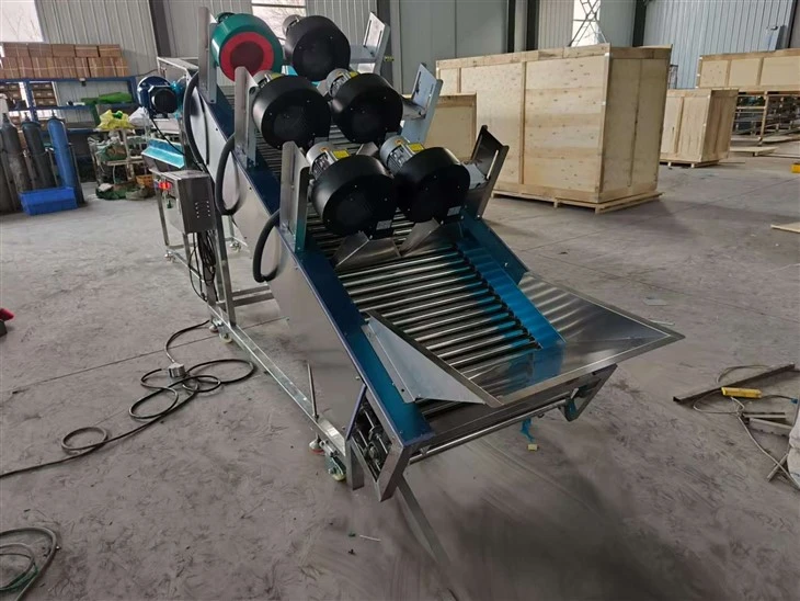 Multifunctional Pathway Fruit Size Grading Machine